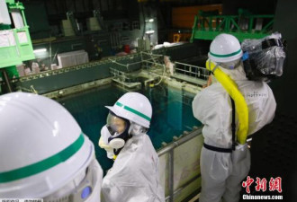 日媒：福岛核电站周边水库泥沙含高浓度放射物