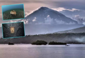 这里是火山下的海洋生物博物馆 蓝壁海峡