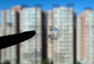 北京一小区住户玻璃惊现“弹孔”警方已介入
