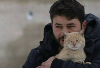 战火中的人性温情：男子为照顾流浪猫放弃逃离