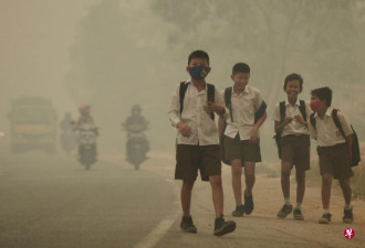世卫：全球九成人口吸着脏空气 致数百万人死亡