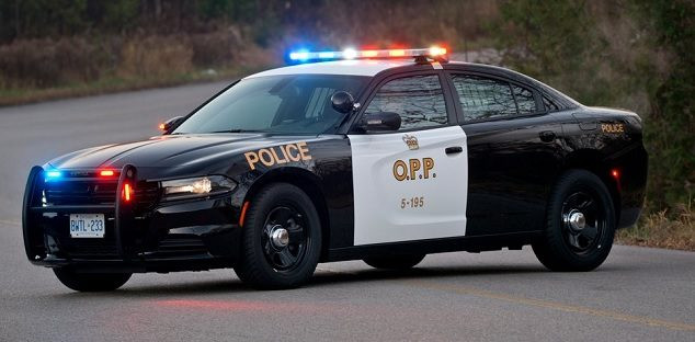 “OPP”的图片搜索结果