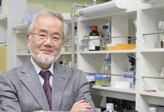 日本科学家再获诺奖 其医学研究为何这么发达?