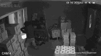 华裔女单挑美国劫匪:属于自卫 警方保护 谢老乡