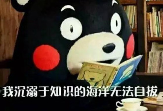 他钻开数万人大脑,泯灭人性却拿了诺贝尔奖!