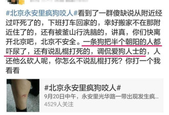 为什么看到疯狗要打死?因为圣母心治不了狂犬病