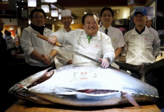 夜潜东京食堂 揭秘游人止步的金枪鱼拍卖现场