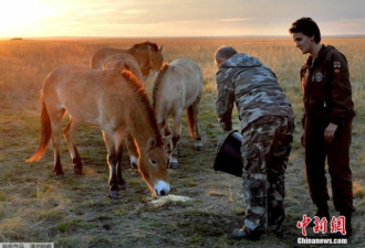 俄总统普京访问自然保护区 骑摩托喂马变牧民