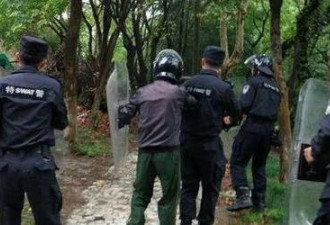 击毙出逃黑熊引争议 江苏盐城警方:没有麻醉枪