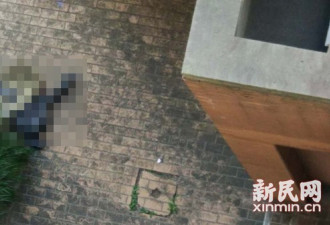 复旦：一女子从邯郸路校区文科楼高坠身亡