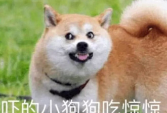 最强大瓜！一档科学真人秀 怎么成了撕x连环秀?