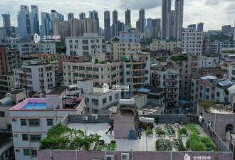 深圳最大城中村“清租”困局！无法继续的学业