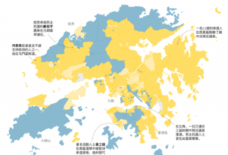 香港区议会选举结果图表分析