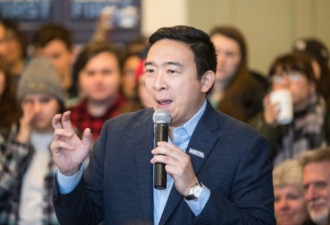 杨安泽参选纽约市长？他已启动2计划
