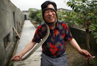 中国最恐怖农村：800人养300万条蛇