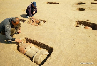 河北发现罕见的战国儿童瓮棺葬群 共百余座