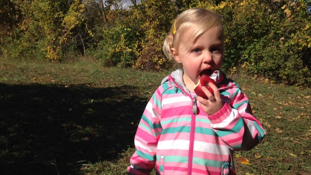 Danika Eady, 3, and her parents spent Thanksgiving morning picking apples at Log Cabin Orchard in Osgoode, Ont.