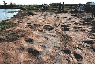 中国发现多达300个恐龙足迹  世界首次