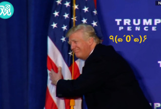 怀抱着星条旗，特朗普一脸宠溺的表情！