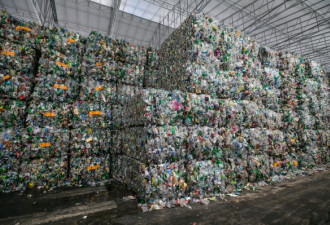 中国拒收洋垃圾，各国塑料垃圾堆积暴增