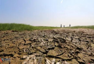 鄱阳湖部分水域变“大草原” 河床大面积干涸