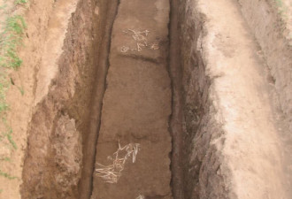 秦始皇祖母夏太后墓意外发现 挖出新物种