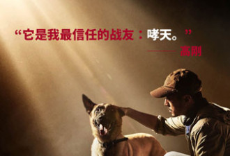 警方揭秘《湄公河行动》一个真实细节 网友泪崩