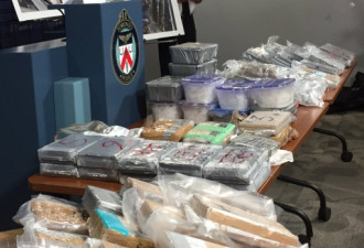 多伦多警方查获史上最大量可卡因粉