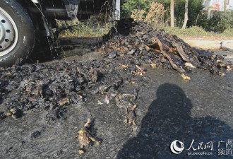 广西一小货车自燃 五千只活鸭变“烤鸭”