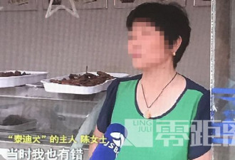 丈夫摔死泰迪遭爱狗人士网络暴力 妻割腕赔命