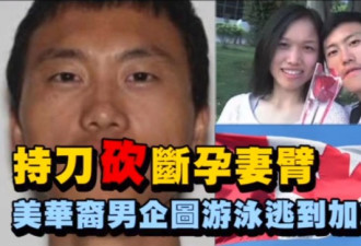 华裔男子砍断孕妻胳膊想游泳偷渡加拿大