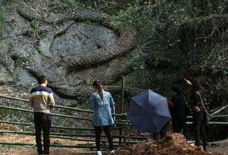 “江口沉银”盗宝者的江湖:有人背叛 有人丧命