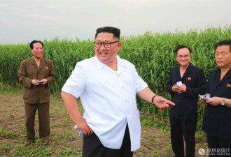金正恩视察芦苇农场：加强朝鲜化学工业自立