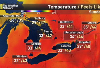 罕见热浪来袭 多伦多本周末将打破55年高温纪录