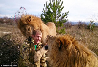 招架不住!俄动物园母狮子对游客上演撒娇戏码