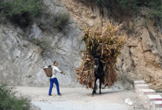 中国正发生1000万人口的大迁徙 足以改变历史