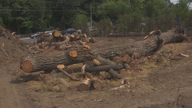Toronto developer, Format Group, is paying $155,064 to remediate the impact of cutting down the trees at 103 and 108 Bayview Ridge.