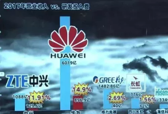 “我”抓到了谋杀中兴和华为的凶手