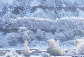 肃南裕固族自治县迎第一场雪 积雪厚度达6厘米