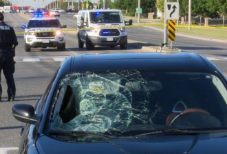 宾顿女行人被汽车撞成重伤 车挡风玻璃被撞碎