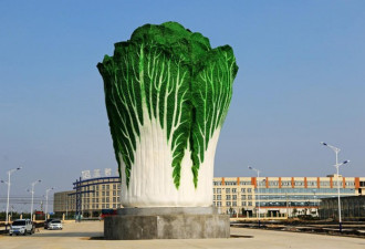 这些城市都为它竖雕像 大白菜成“国民第一菜”