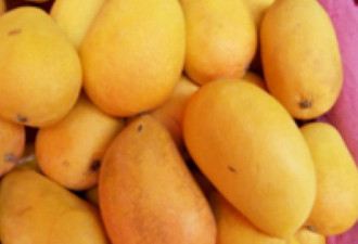 菲官员:感谢中国恢复菲企对华出口香蕉菠萝许可