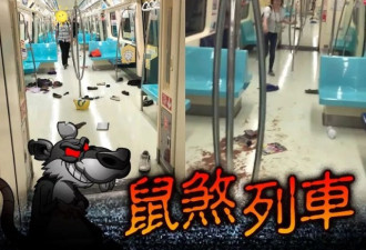 就因为一只老鼠，台北地铁上演“釜山行”