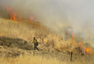 北加州山火延烧8000亩，一人惨丧命