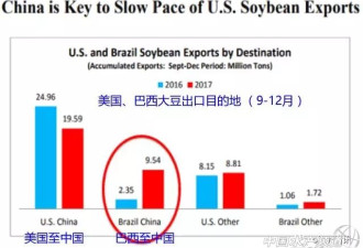 美国进口恐减半 中国大豆价格看涨