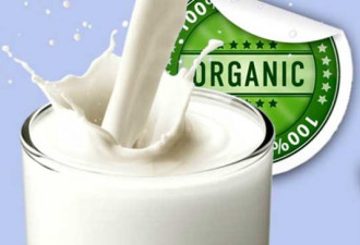贵了一倍 加拿大的有机牛奶真比普通奶更健康吗