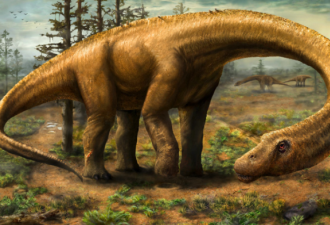 阿根廷恐龙化石来自最早巨型蜥脚类动物