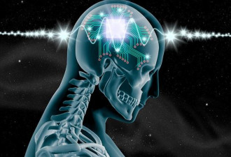 科学家研发大脑芯片:人类将可拥有超人的记忆力