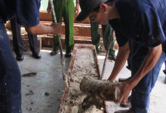 走私新手段 团伙掏空树干藏匿1吨象牙