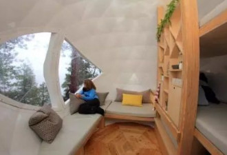 安省旁探险公园：悬浮球体树屋和圆顶全景房！